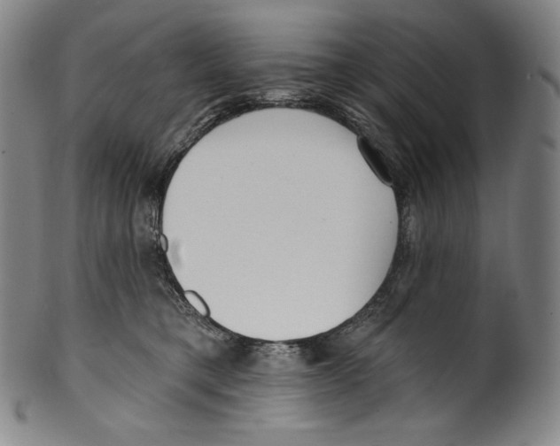 X0000099440421200806061048