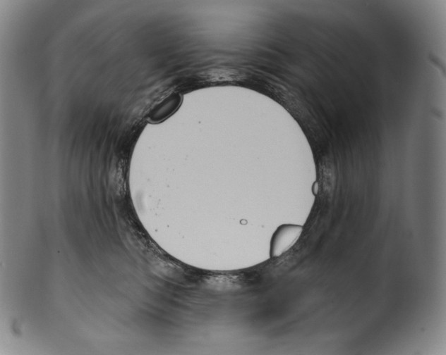 X0000099440422200806061048