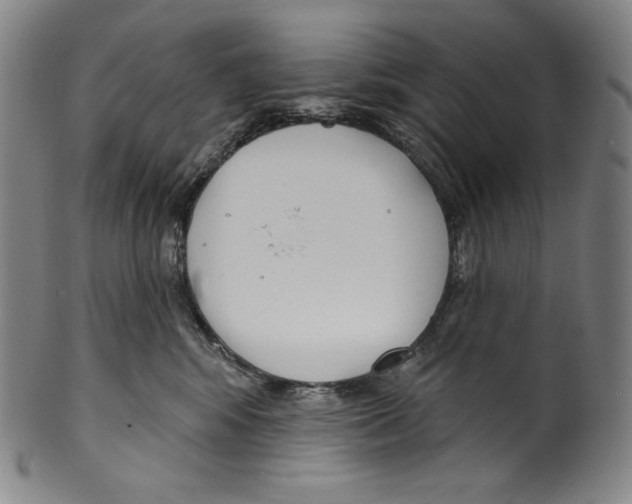 X0000099440424200806061048