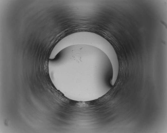 X0000099440425200806061048