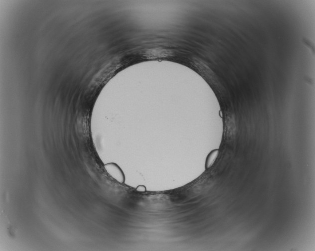 X0000099440426200806061048