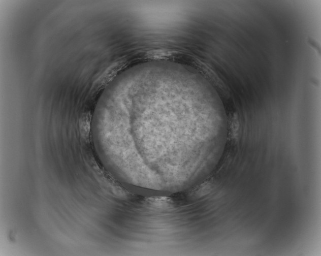 X0000099440427200806061048