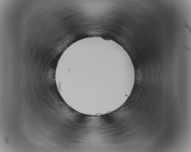 X0000099440428200806061048