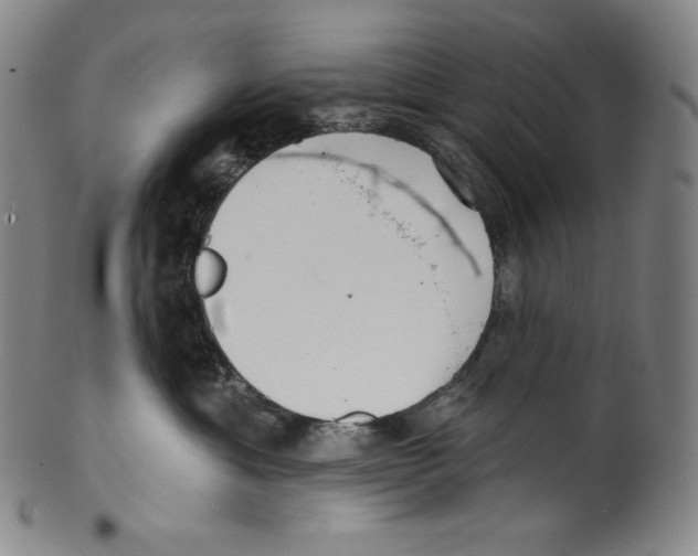 X0000099440429200806061048