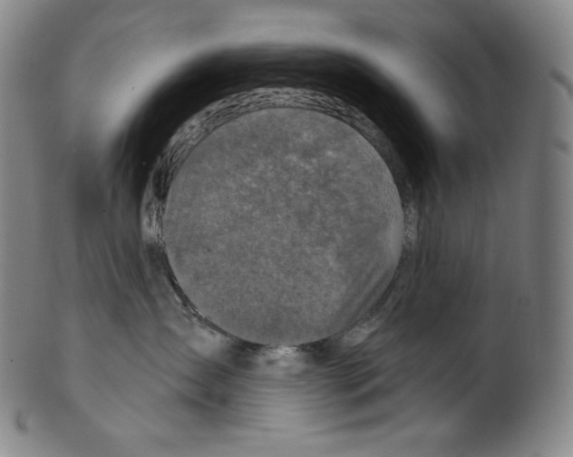 X0000099440431200806061048