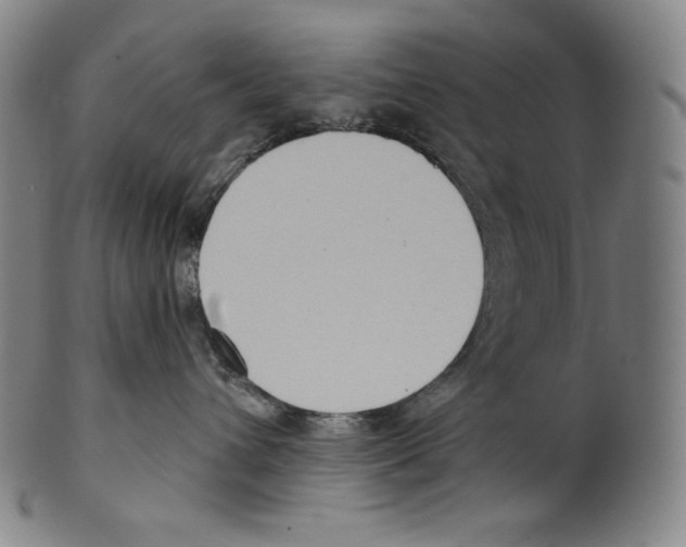 X0000099440432200806061048