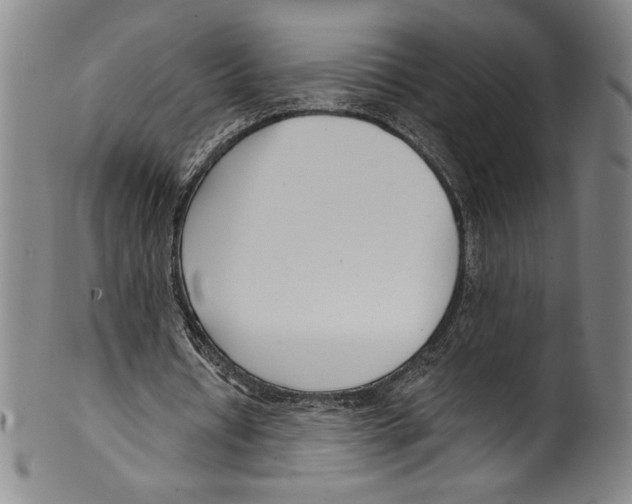 X0000099440434200806061047