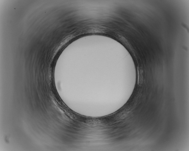 X0000099440435200806061047