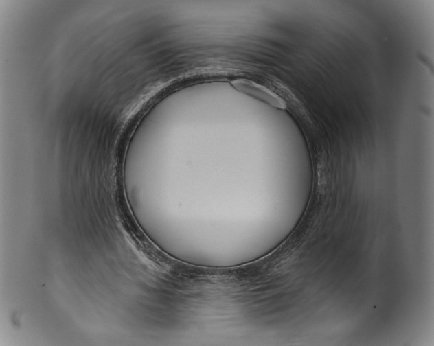 X0000099440436200806061047