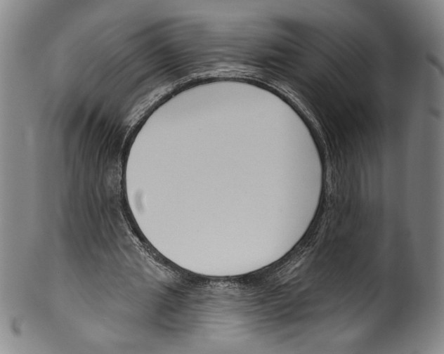 X0000099440437200806061047