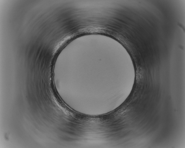 X0000099440438200806061047