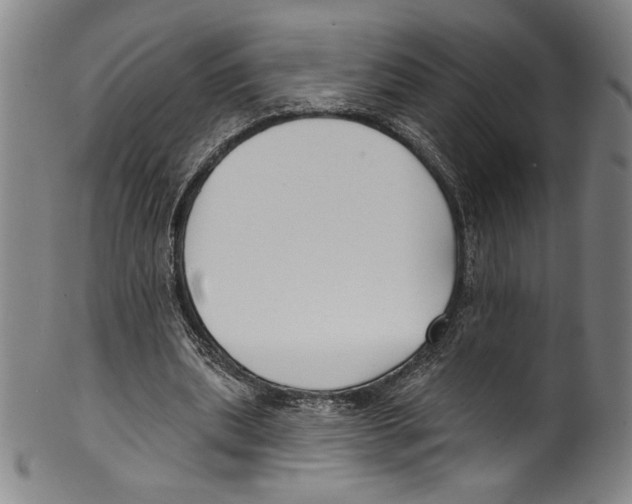 X0000099440439200806061047