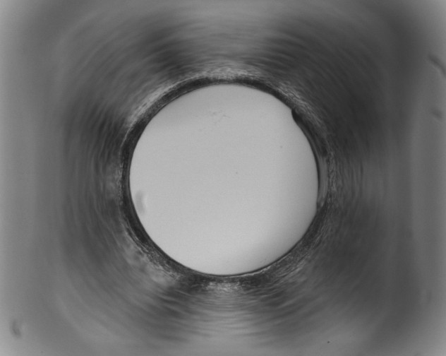 X0000099440440200806061047