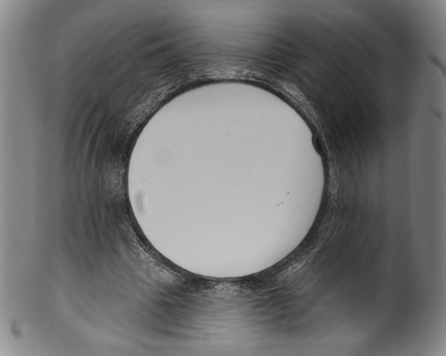 X0000099440441200806061047