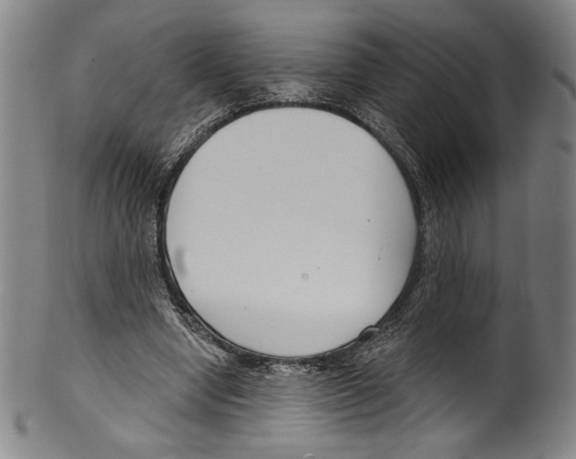 X0000099440442200806061047