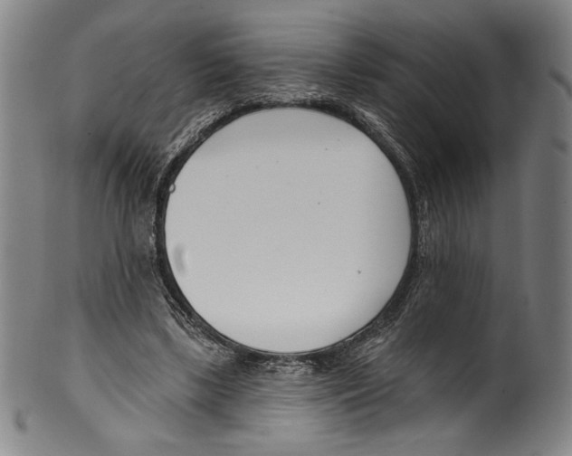 X0000099440443200806061047