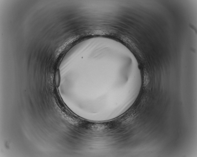 X0000099440444200806061047