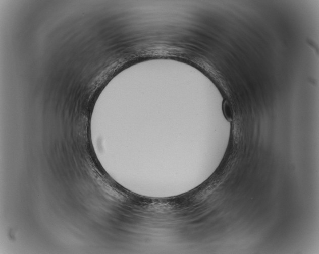 X0000099440445200806061047