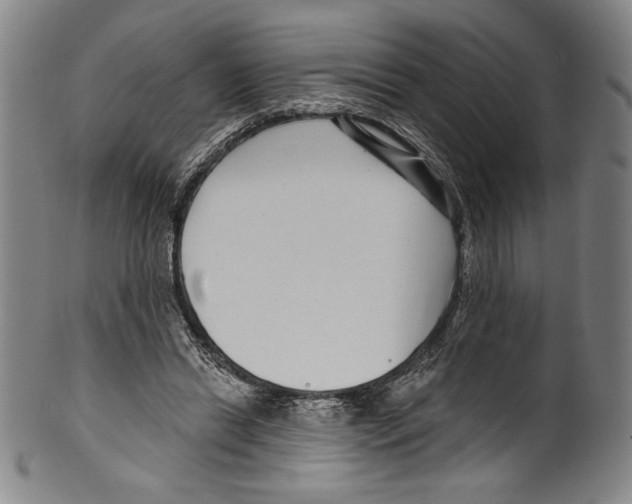 X0000099440446200806061047