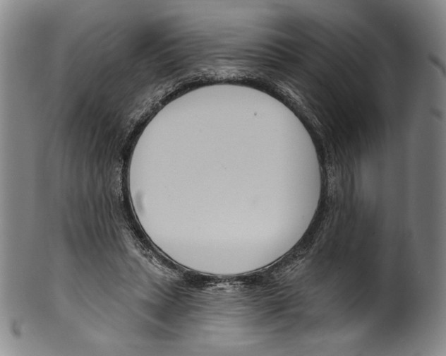 X0000099440447200806061047