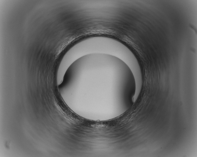 X0000099440448200806061047