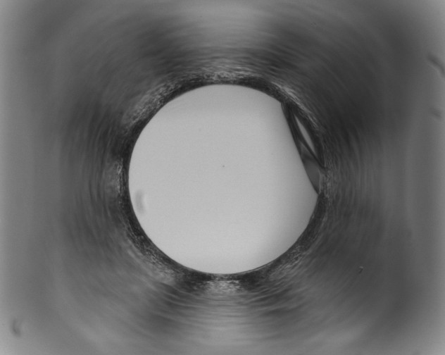 X0000099440451200806061047