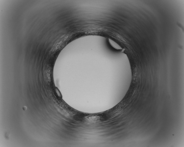 X0000099440452200806061048