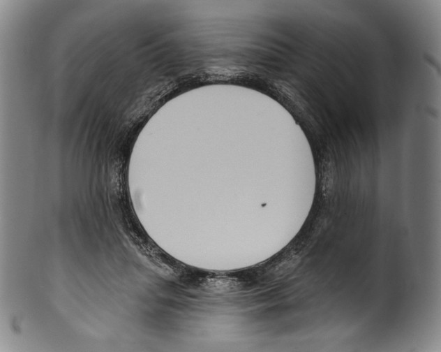 X0000099440455200806061048