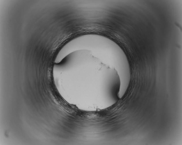 X0000099440456200806061048