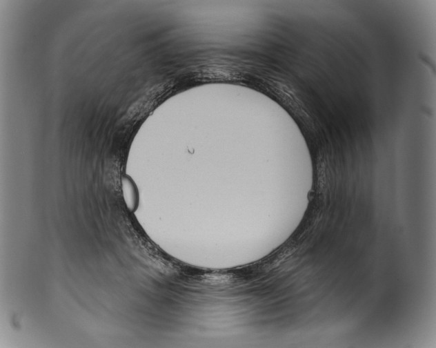 X0000099440457200806061048