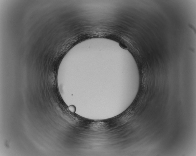 X0000099440459200806061048