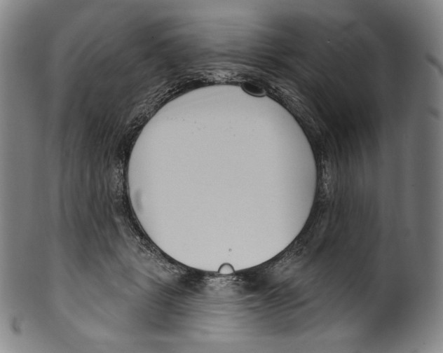 X0000099440461200806061048