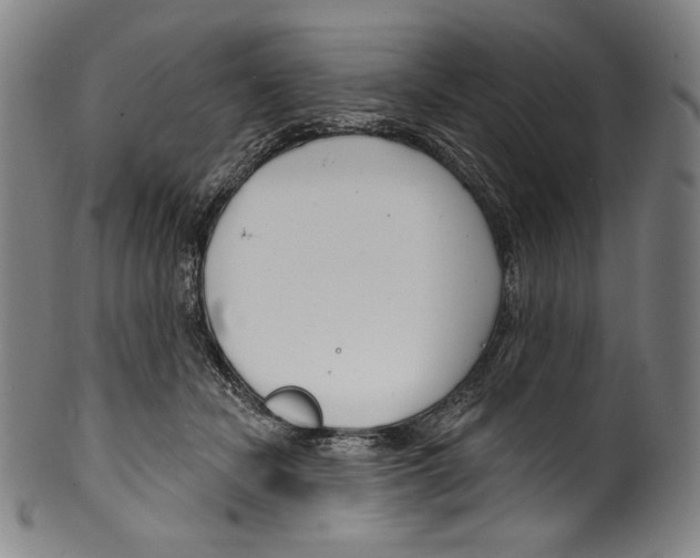 X0000099440462200806061048