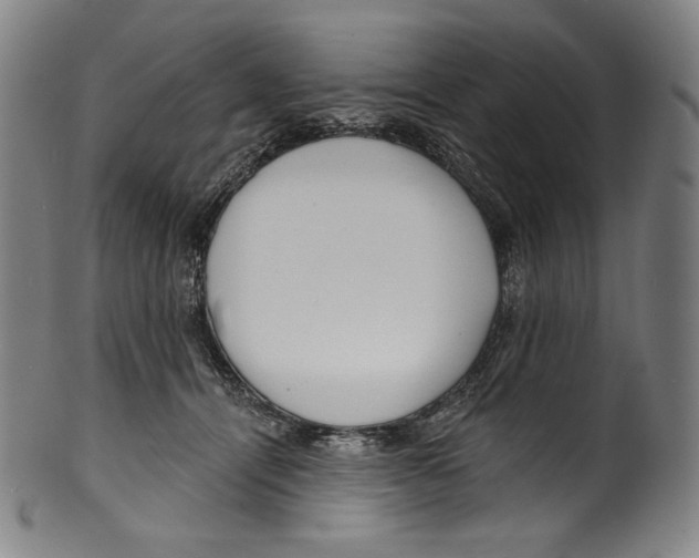 X0000099440464200806061048