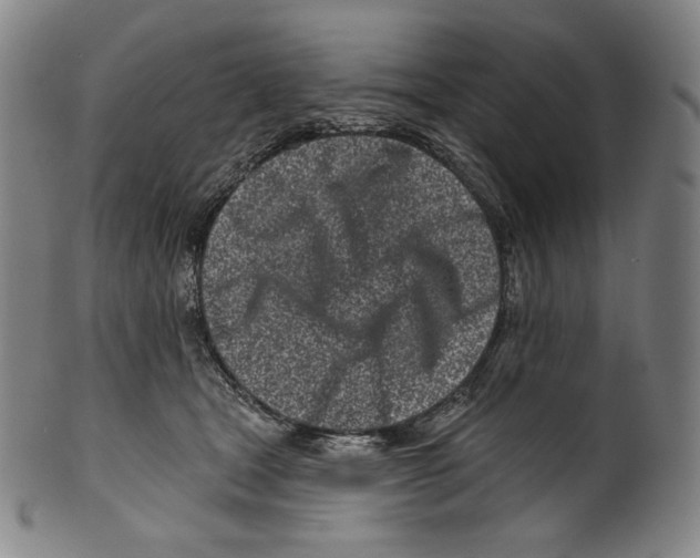 X0000099440465200806061048