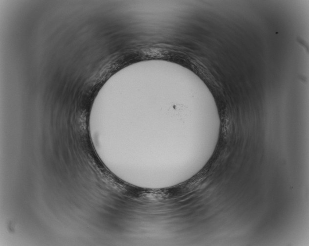 X0000099440466200806061048