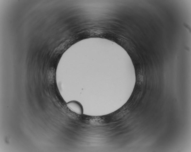 X0000099440468200806061048