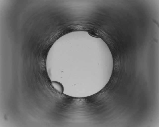 X0000099440469200806061048