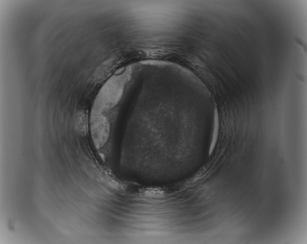 X0000099440471200806061048