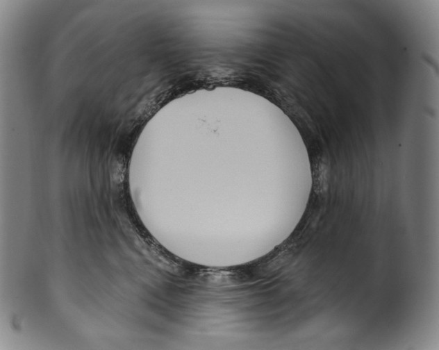 X0000099440472200806061048