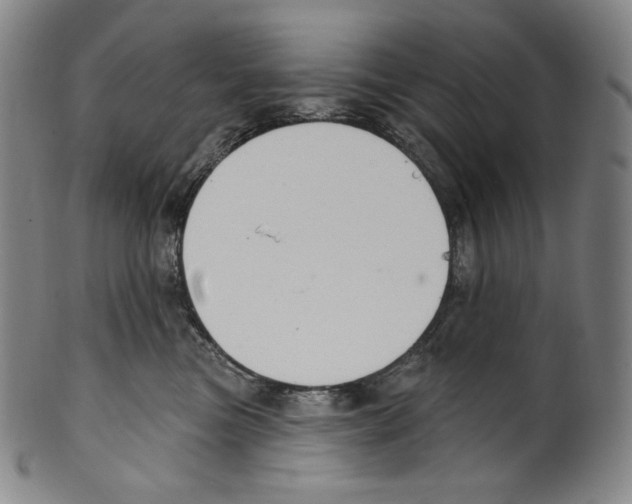 X0000099440473200806061048