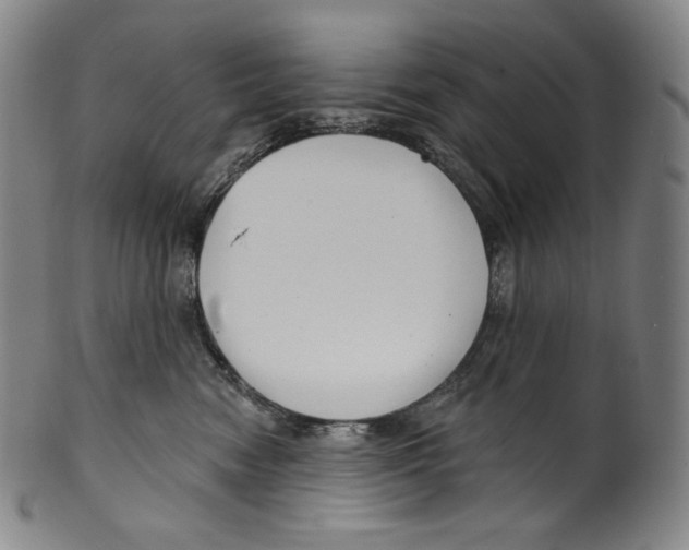 X0000099440474200806061048