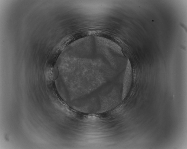 X0000099440475200806061048