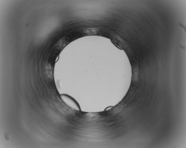 X0000099440477200806061048