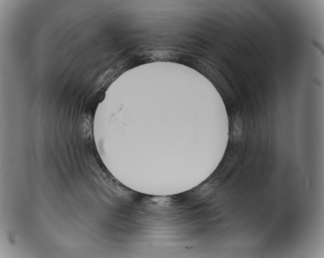 X0000099440478200806061048