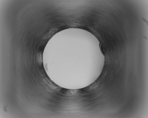 X0000099440479200806061048