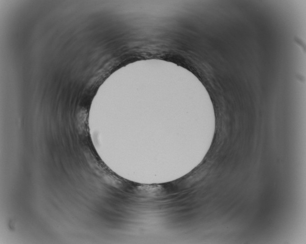 X0000099440480200806061048