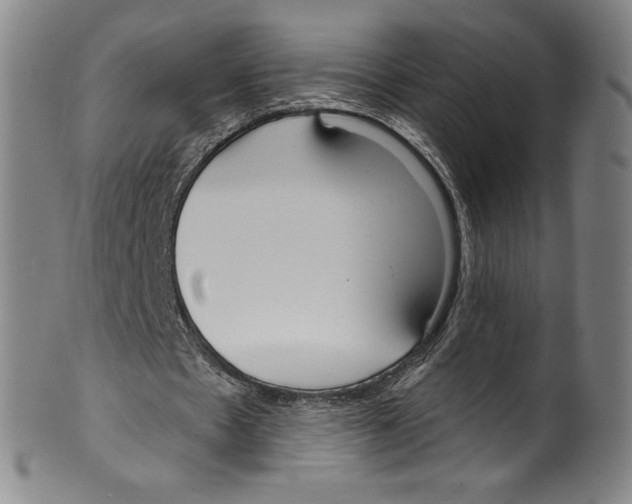 X0000099440481200806061047