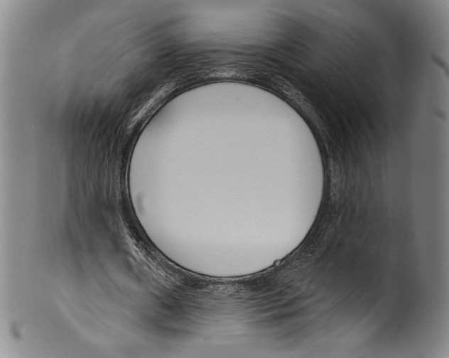 X0000099440482200806061047