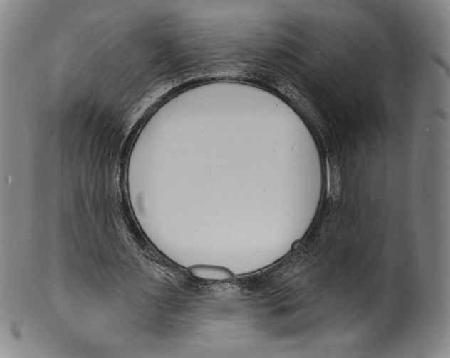 X0000099440483200806061047